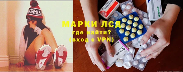 стаф Бородино