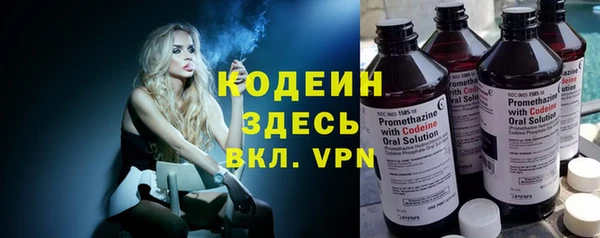 стаф Бородино