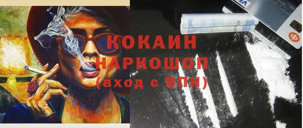 стаф Бородино